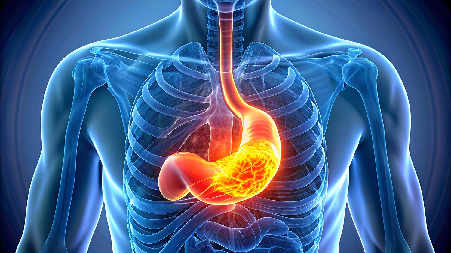 Reflux-Behandlung