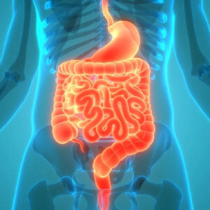Gastrointestinal Surgery