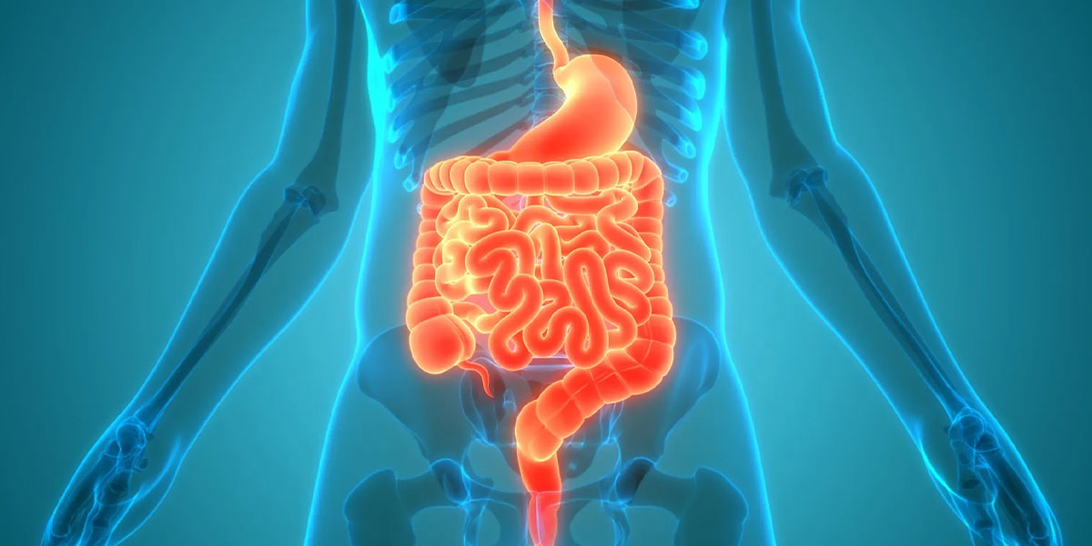 Gastrointestinal Surgery