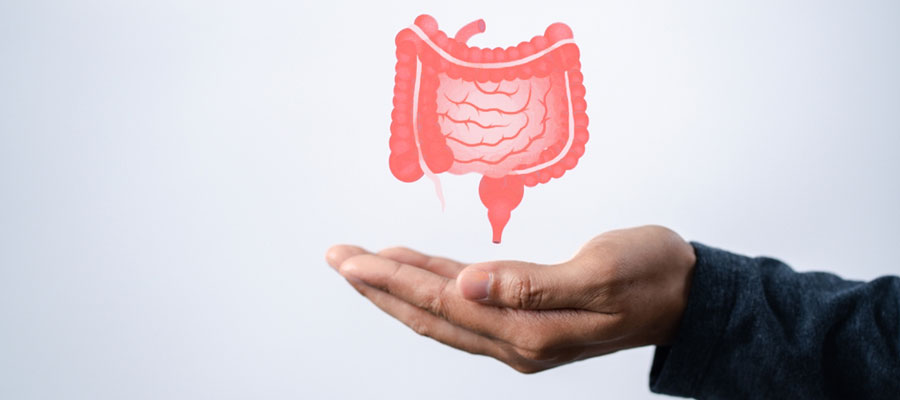 Bağırsak Sarkması Neden Olur? Nasıl Tedavi Edilir?